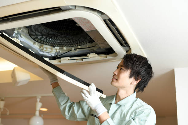Best Local Air Duct Cleaning Services  in Northchase, NC
